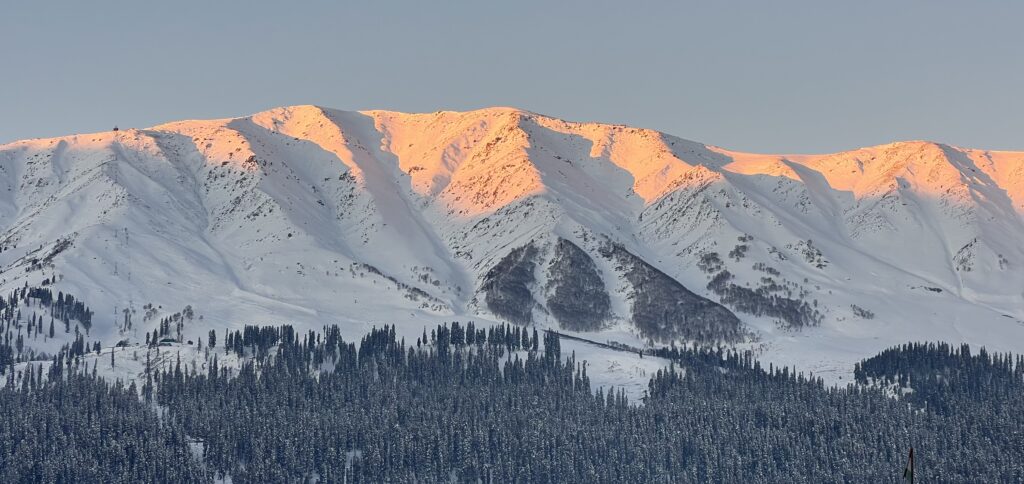 1625A959 E226 4745 BE8B 2D07FBF0C492