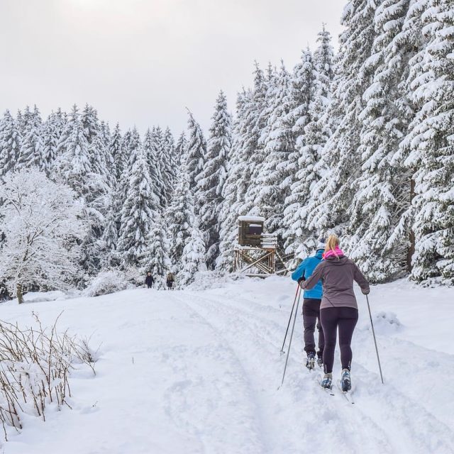 Skiing skiing Gulmarg