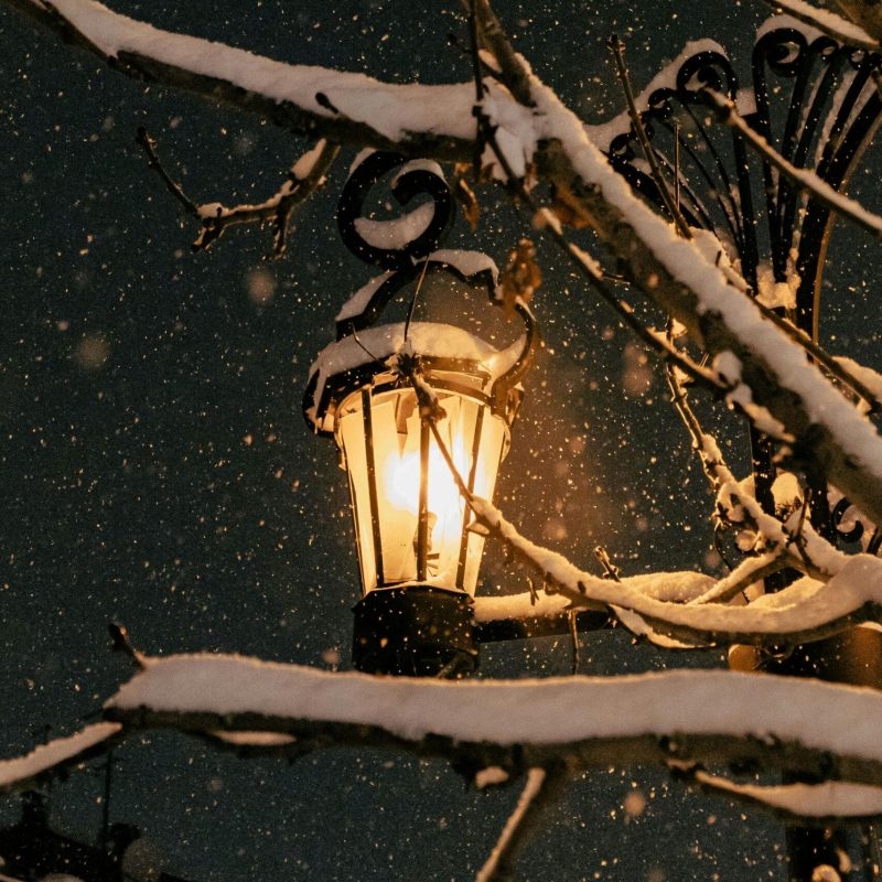 pexels-photo-29756342-29756342 A street lamp glows warmly amidst a snowy night, casting light on snow-covered branches.